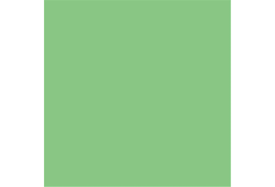 colorama_fond_papier_summer_green_59_proframe_location_paris_2