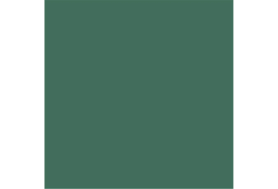 colorama_fond_papier_spruce_green_37_proframe_location_paris_2