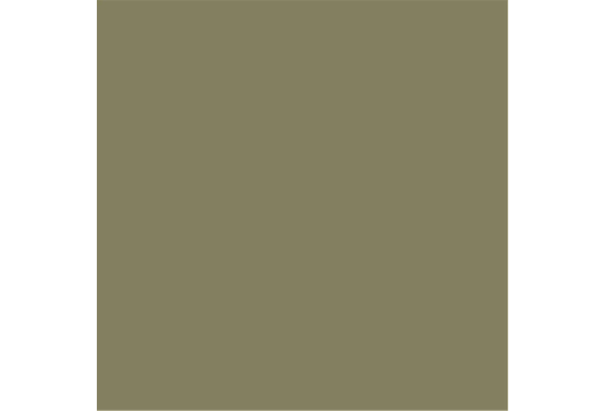 colorama_fond_papier_leaf_97_proframe_location_paris_2