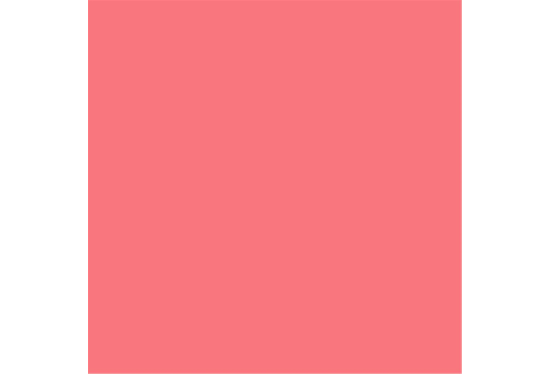 colorama_fond_papier_coral_pink_46_proframe_location_paris_2