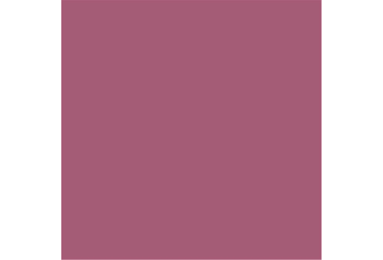 colorama_fond_papier_damson_44_proframe_location_paris_2