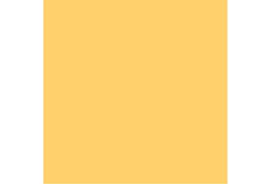 colorama_fond_papier_maize_31_proframe_location_paris_1