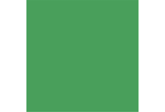 colorama_fond_papier_chromagreen_33_proframe_location_paris_2