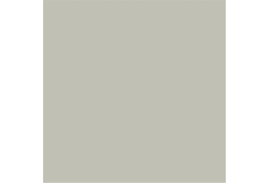 colorama_fond_papier_platinium_81_proframe_location_paris_2